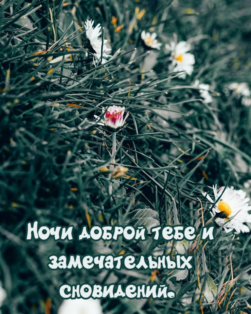Ночи доброй тебе и замечательных сновидений.