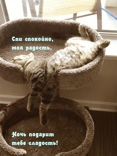 Спи спокойно, моя радость, Ночь подарит тебе сладость!