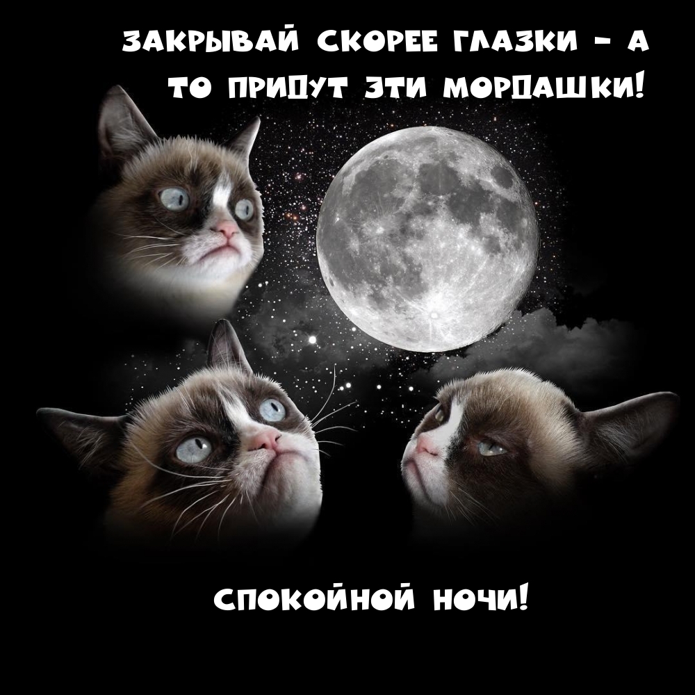 Спокойной ночи!