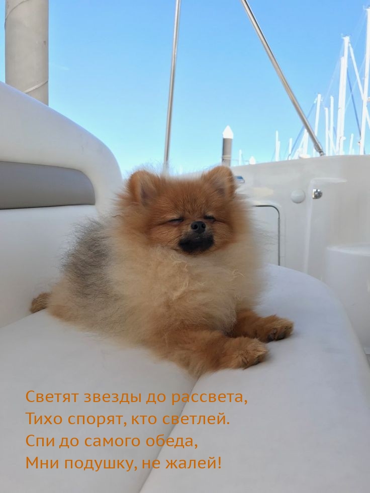 Светят звезды до рассвета, тихо спорят, кто светлей.