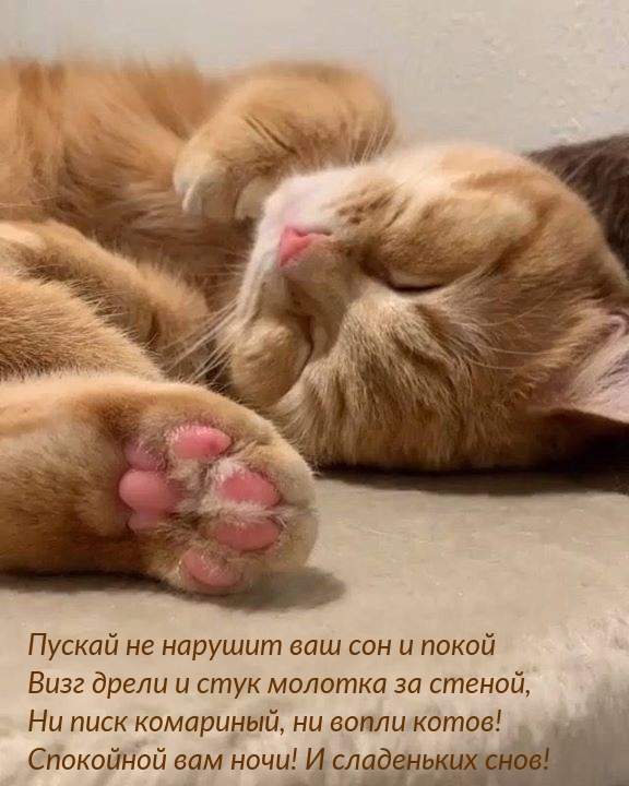 Спокойной вам ночи! И сладеньких снов!