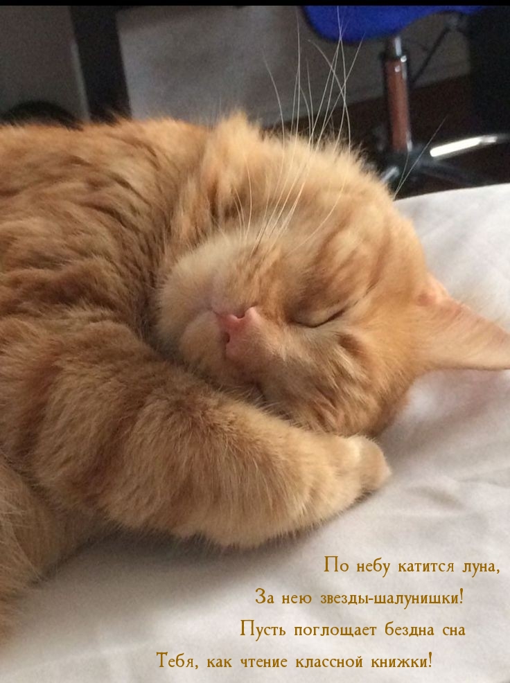 По небу катится луна, за нею звезды-шалунишки!