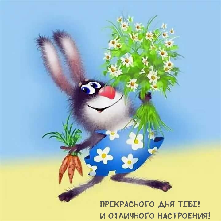 Прекрасного дня тебе! И отличного настроения!