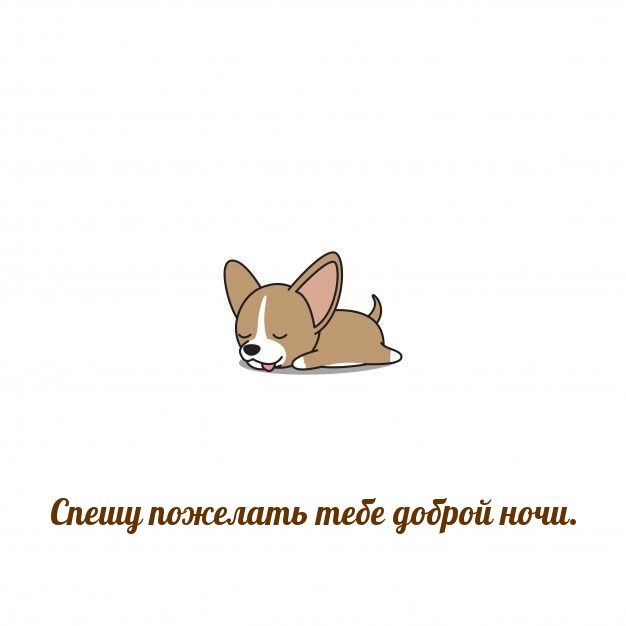 Спешу пожелать тебе доброй ночи.