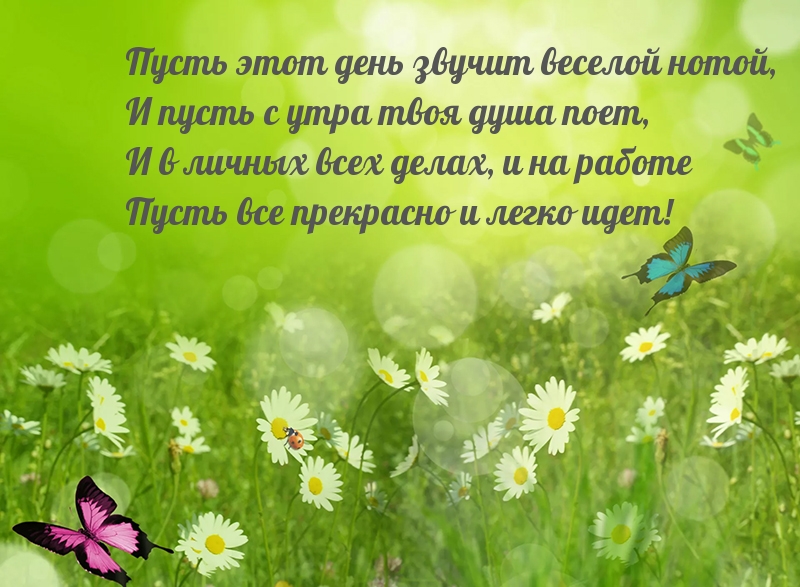 Пусть этот день звучит веселой нотой