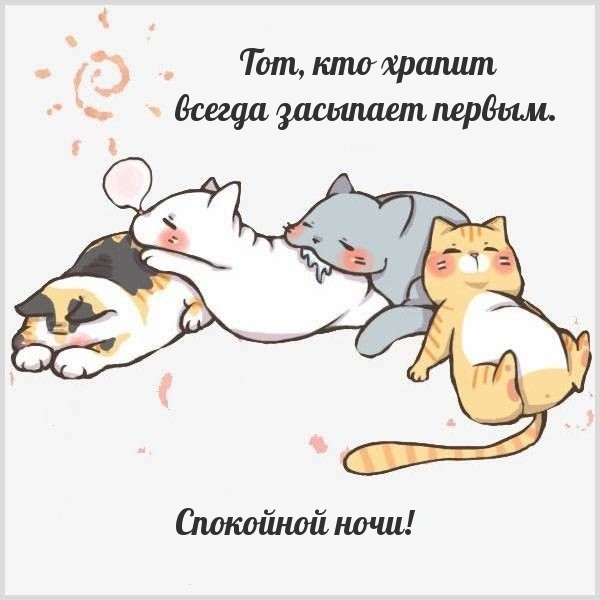 Тот, кто храпит всегда засыпает первым. Спокойной ночи!