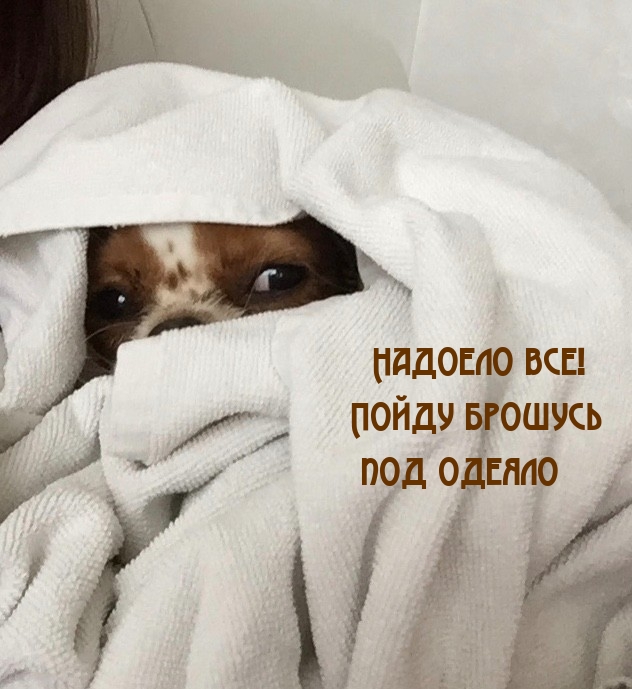 Надоело все! Пойду брошусь под одеяло