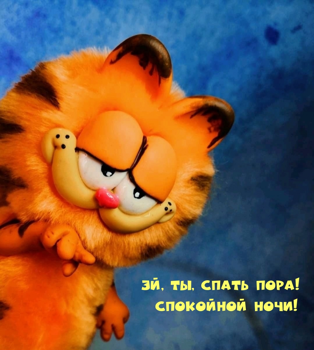 Эй, ты, спать пора! Спокойной ночи!