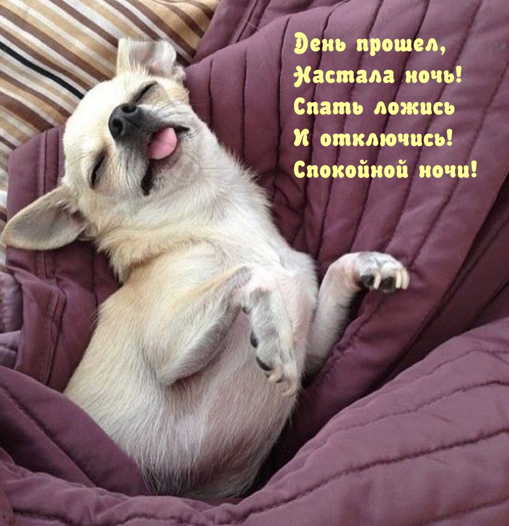 День прошел, настала ночь!