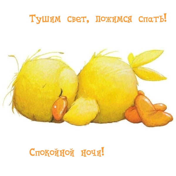 Тушим свет, ложимся спать! Спокойной ночи!