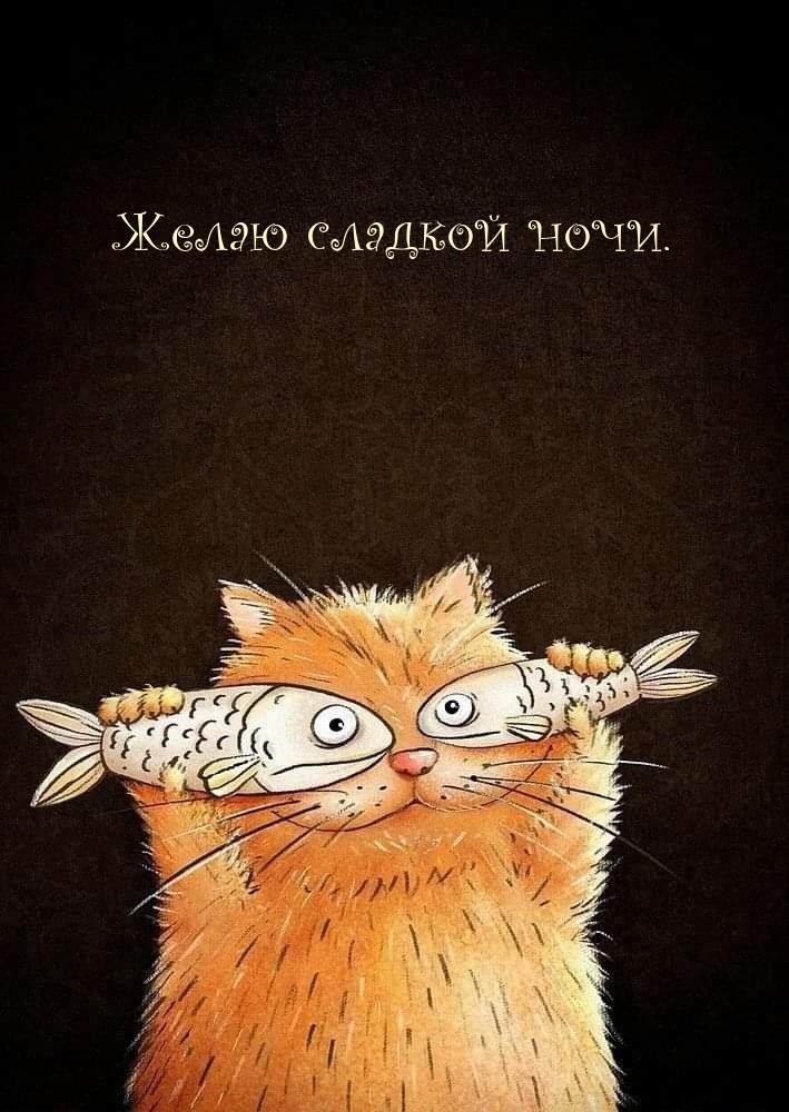 Желаю сладкой ночи.