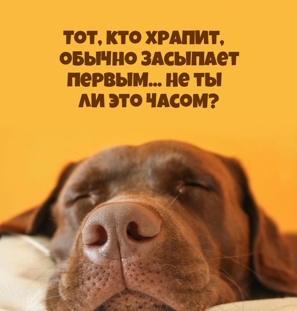 Тот, кто храпит, обычно засыпает первым…
