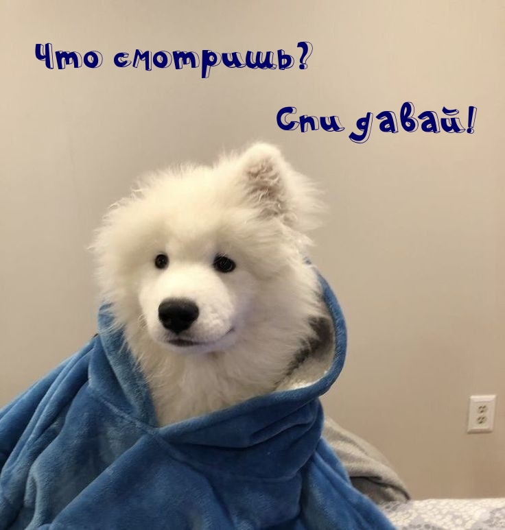 Что смотришь? Спи давай!