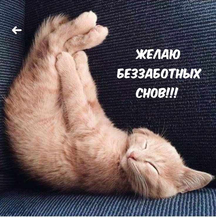 Желаю беззаботных снов!
