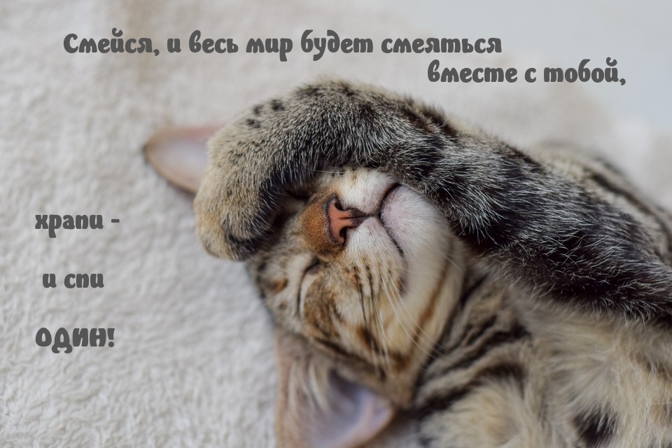 Храпи — и спи ОДИН!