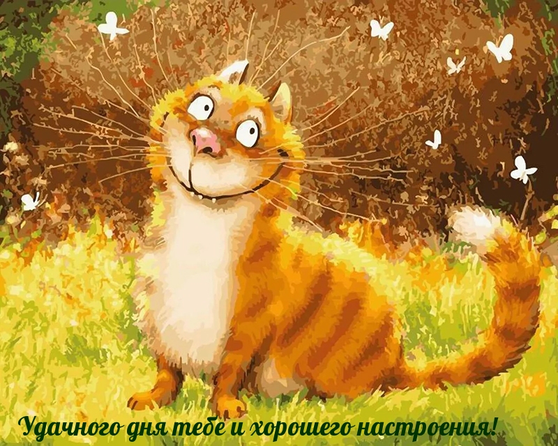 Удачного дня тебе и хорошего настроения!