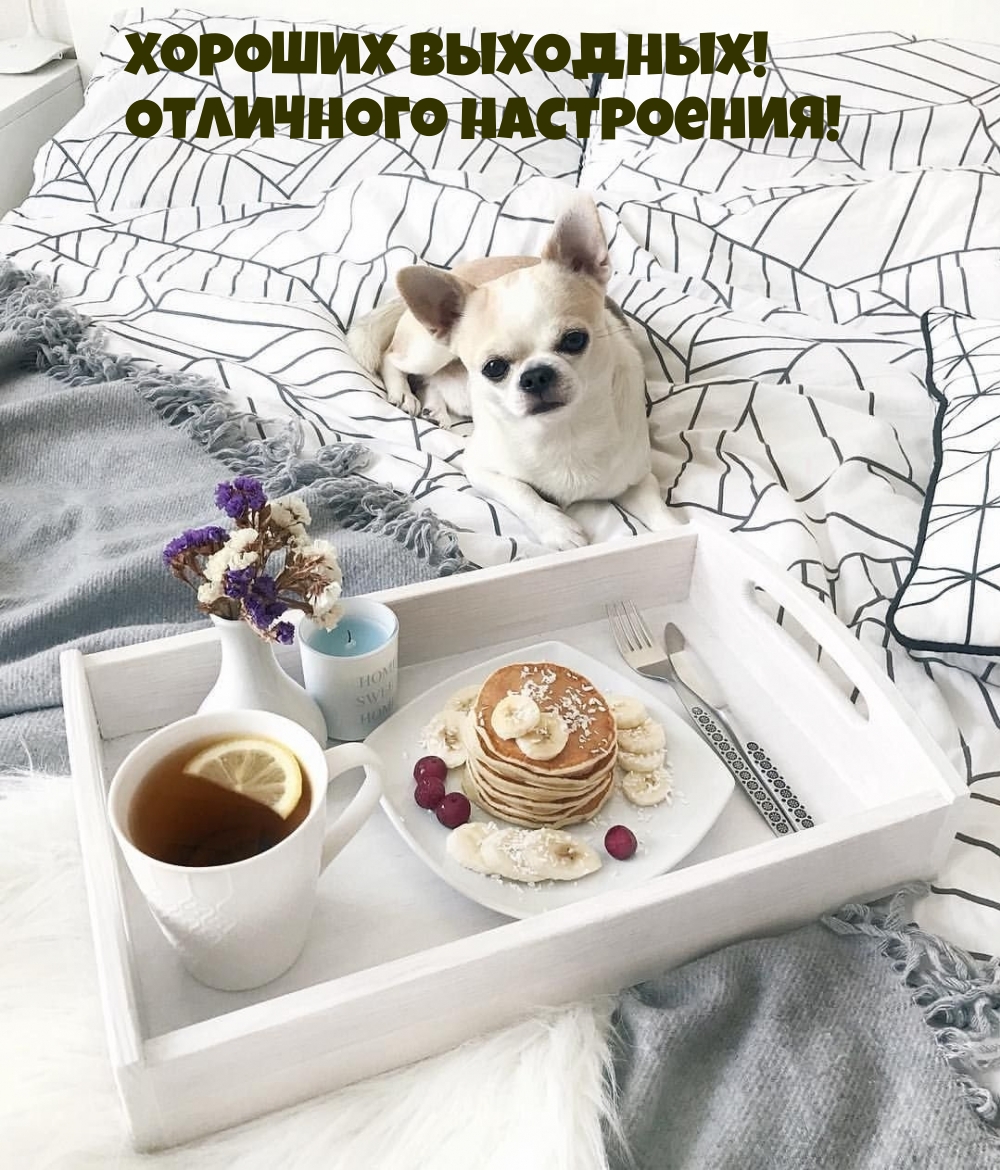 Хороших выходных! Отличного настроения!
