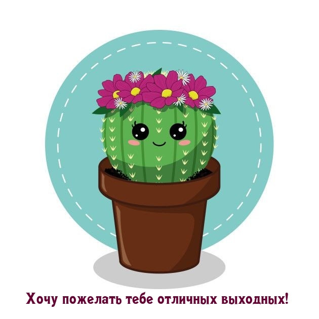Хочу пожелать тебе отличных выходных!