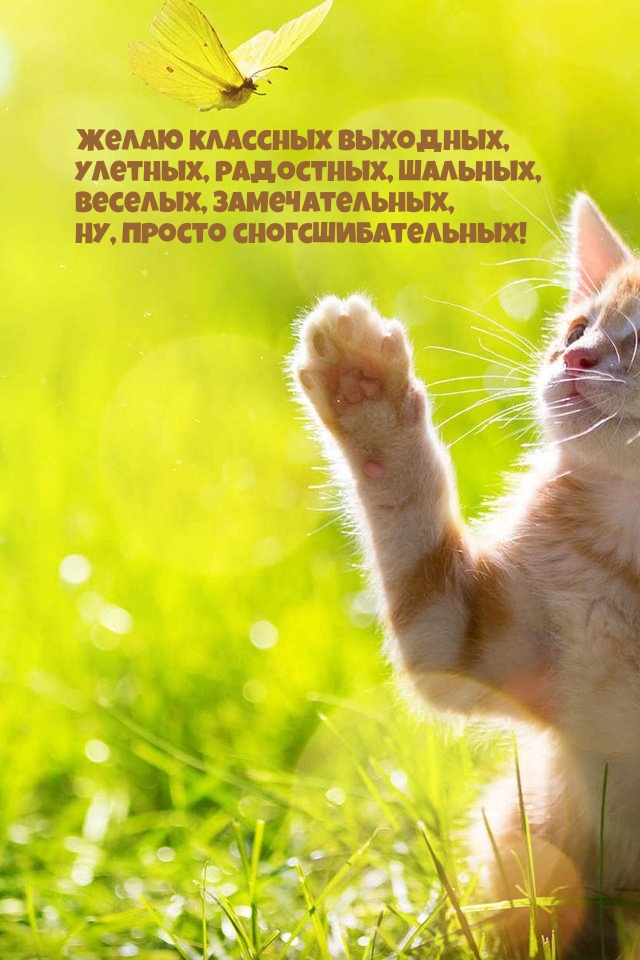 Желаю классных выходных
