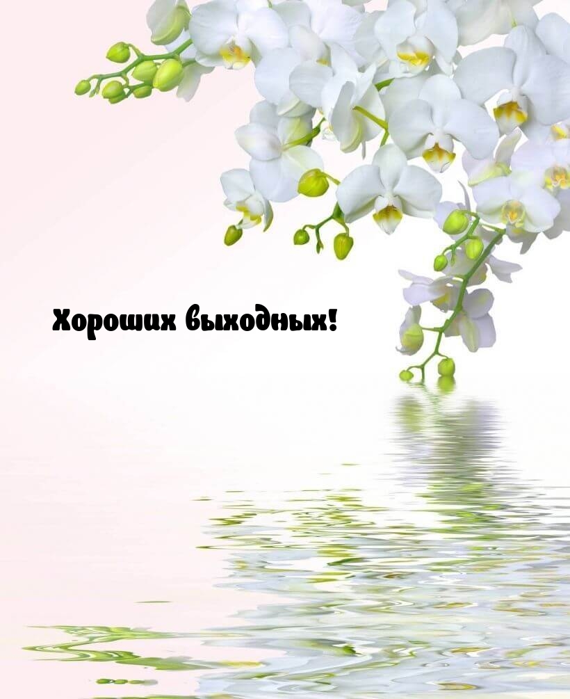 Хороших выходных!