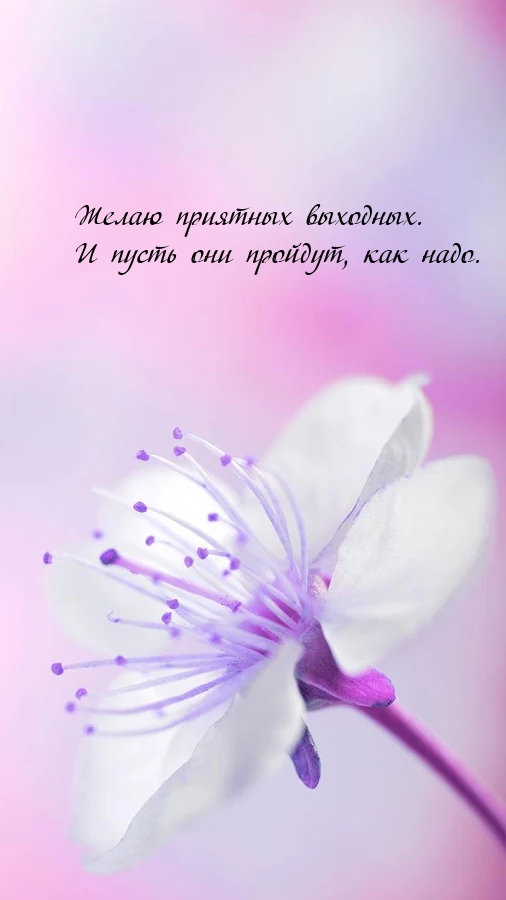 Желаю приятных выходных. И пусть они пройдут, как надо.