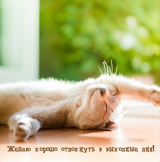 Желаю хорошо отдохнуть в выходные дни!