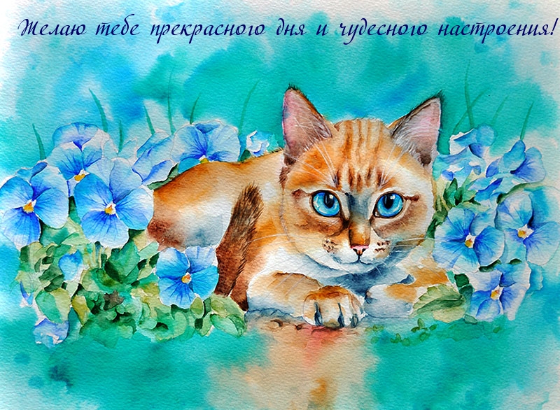 Желаю тебе прекрасного дня и чудесного настроения!