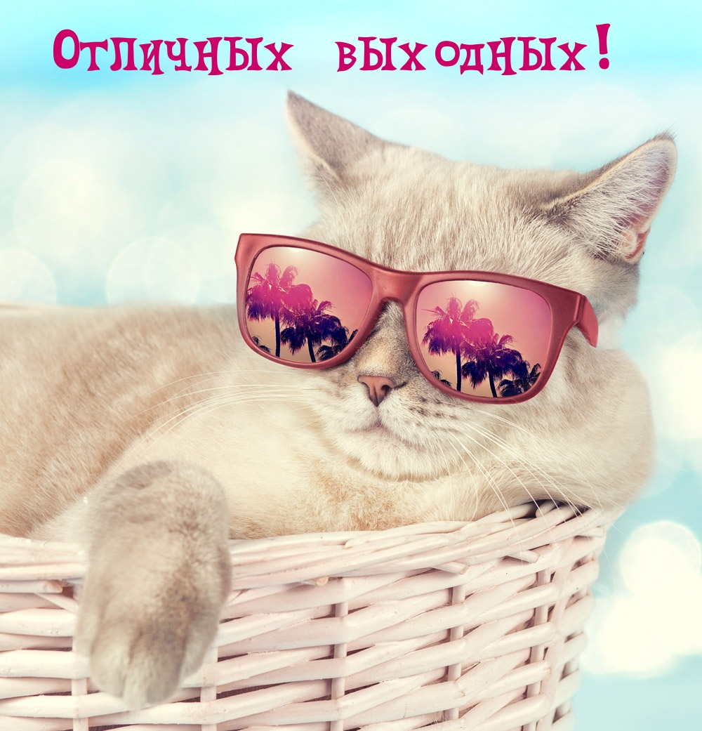 Отличных выходных!