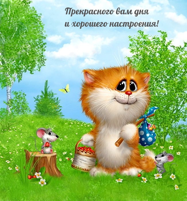 Прекрасного вам дня и хорошего настроения!