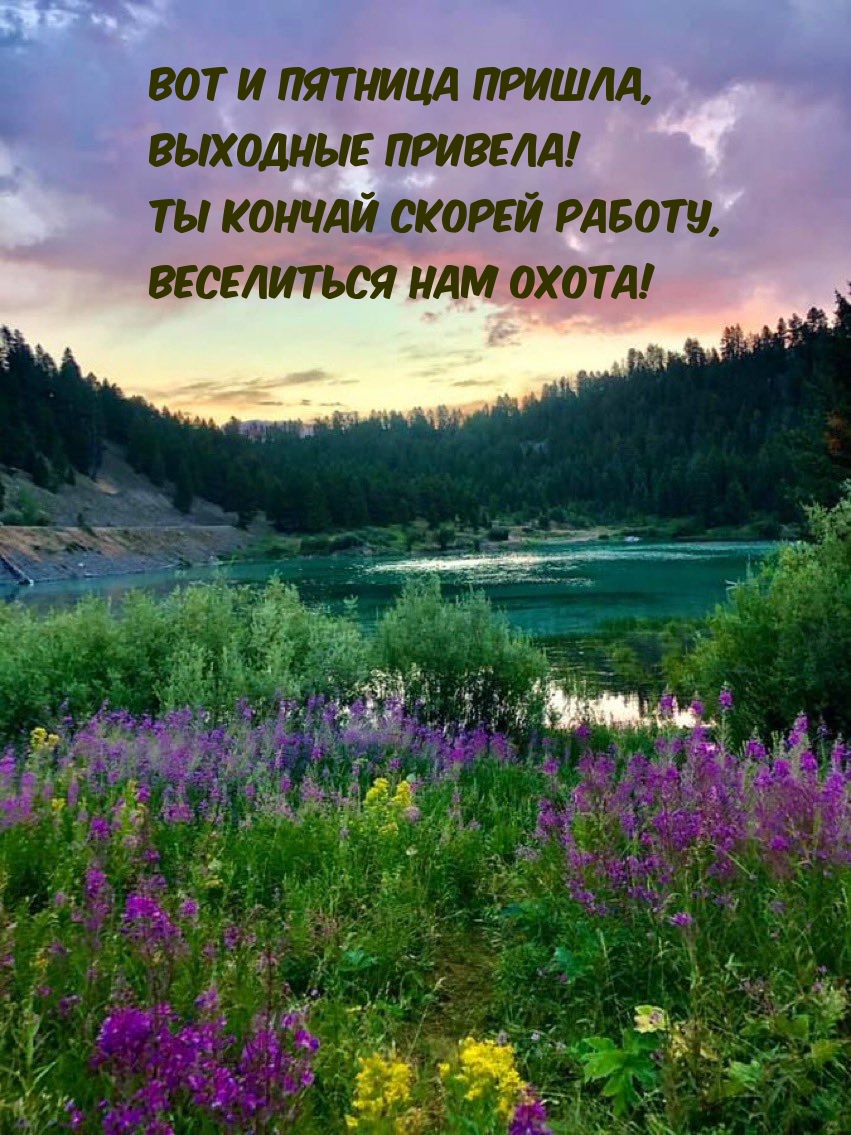 Вот и пятница пришла, выходные привела!