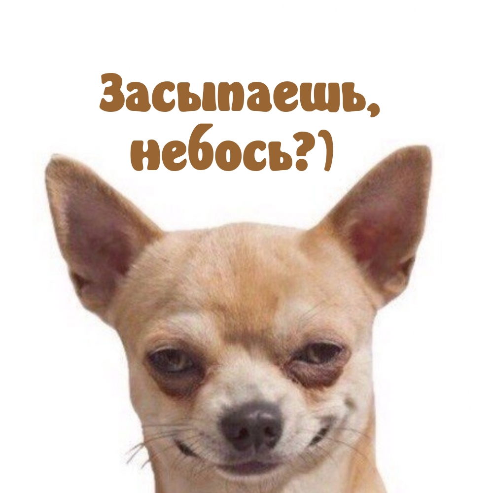 Засыпаешь, небось?)