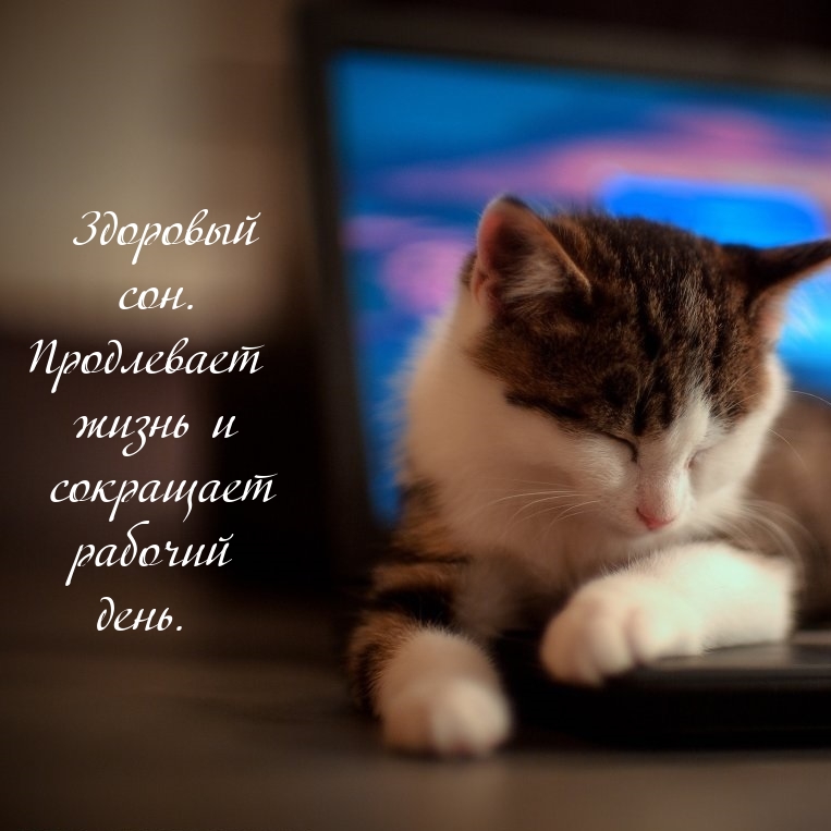 Здоровый сон. Продлевает жизнь и сокращает рабочий день.
