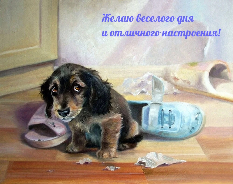 Желаю веселого дня и отличного настроения!