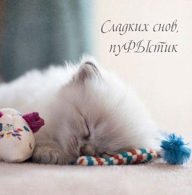 Сладких снов, пуФЫстик