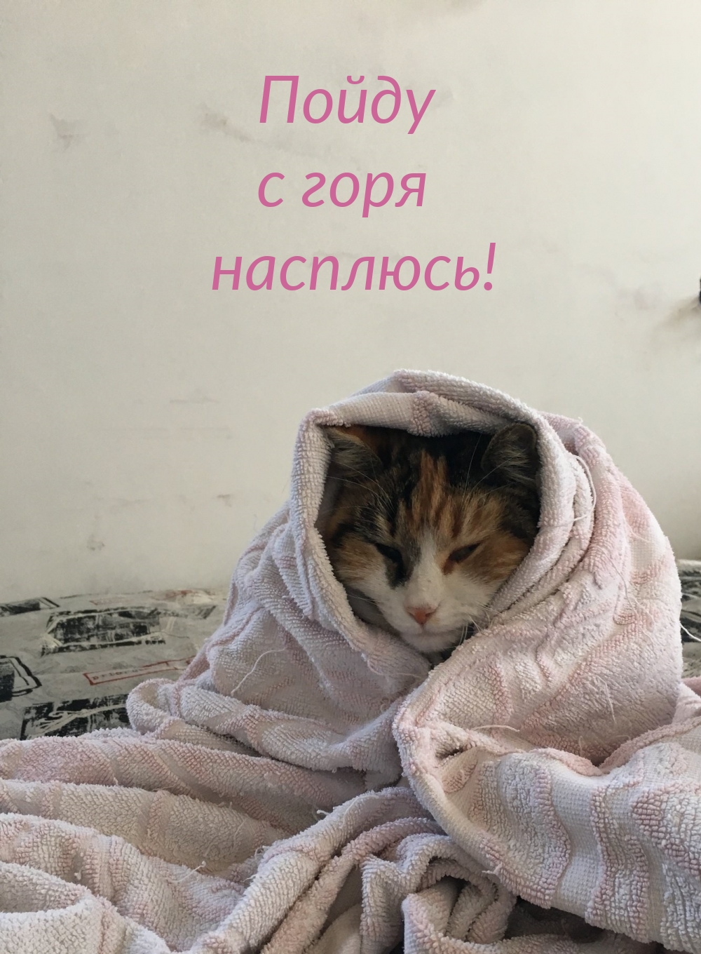 Пойду с горя насплюсь!