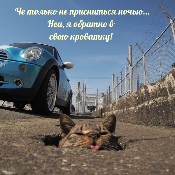 Че только не присниться ночью… Неа, я обратно в свою кроватку!