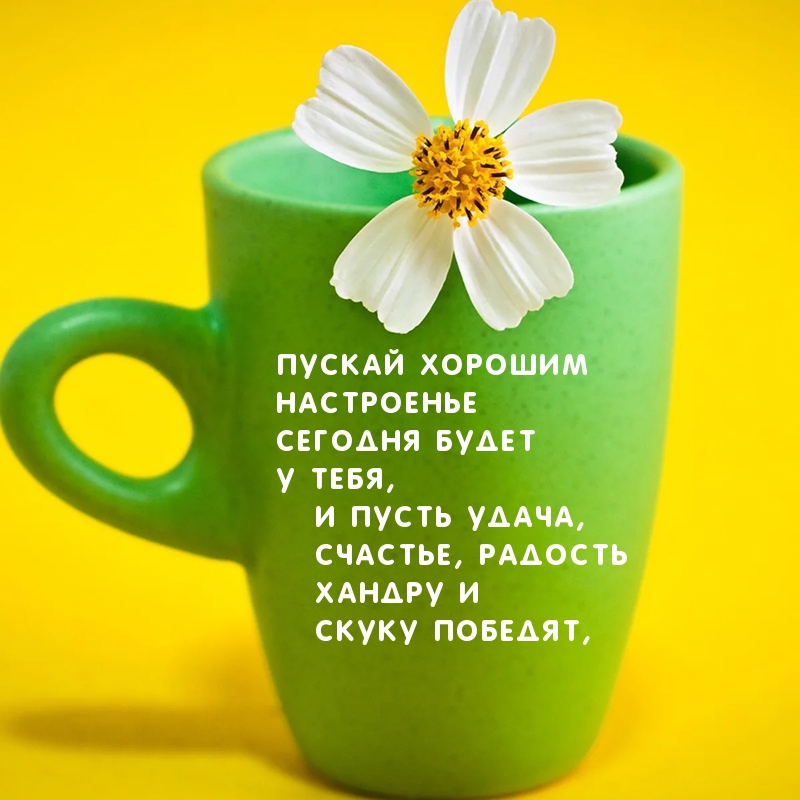 Пускай хорошим настроенье сегодня будет!