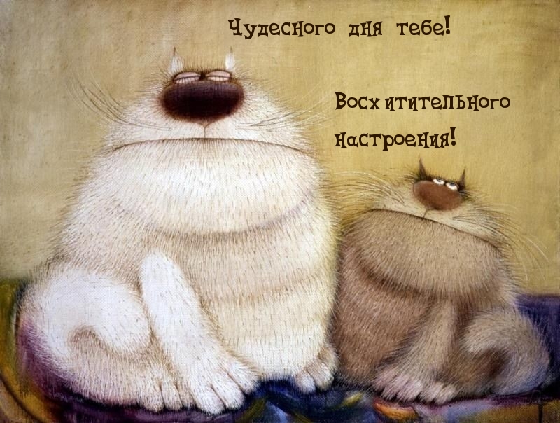 Чудесного дня тебе! Восхитительного настроения!