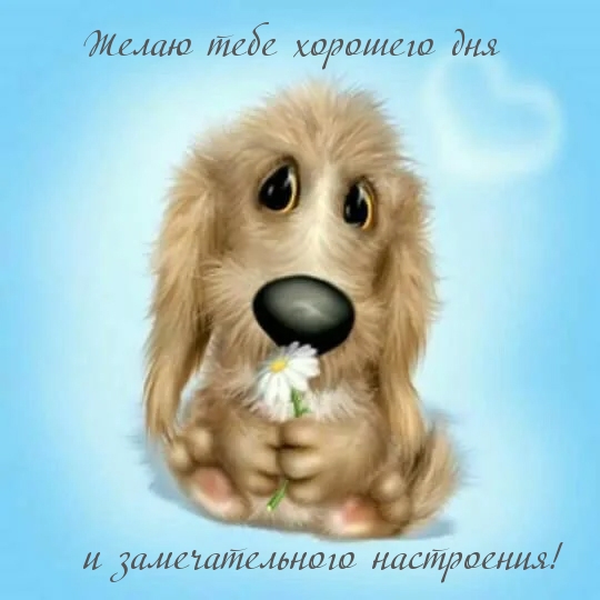 Желаю тебе хорошего дня!