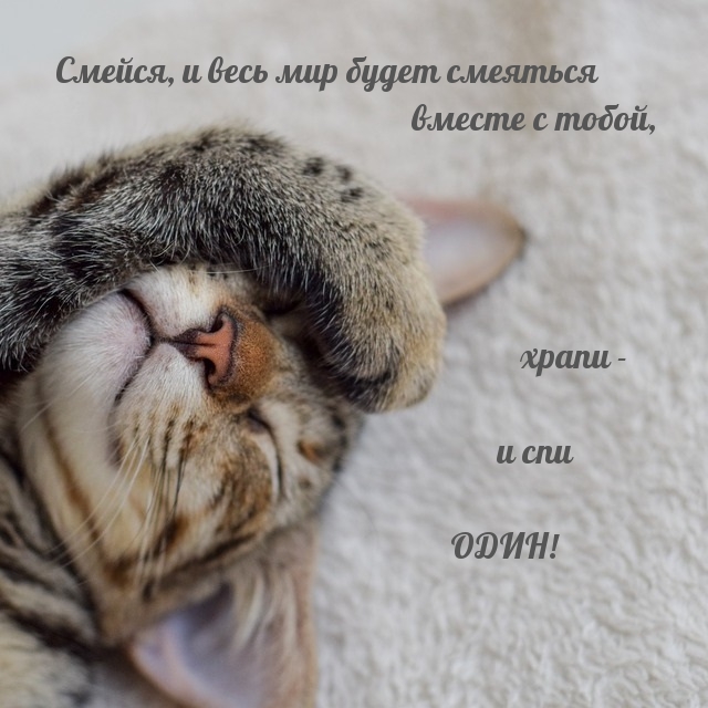 Смейся, и весь мир будет смеяться вместе с тобой, храпи — и спи один!