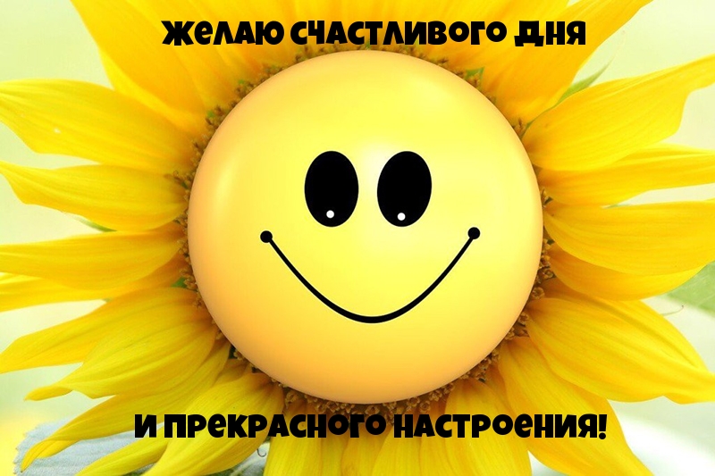 Желаю счастливого дня! И прекрасного настроения!