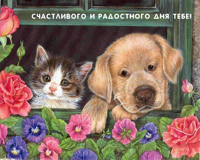 Счастливого и радостного дня тебе!