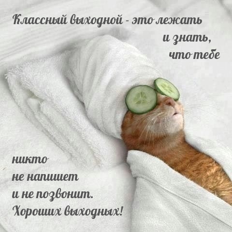 Классный выходной — это лежать и знать, что тебе никто не напишет