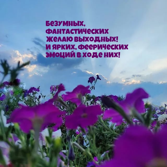 Безумных, фантастических желаю выходных!