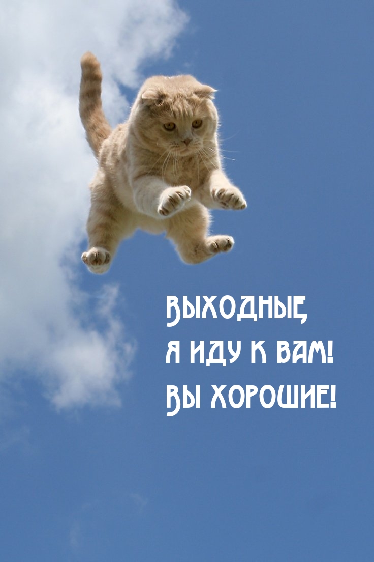 Выходные, я иду к вам! Вы хорошие!