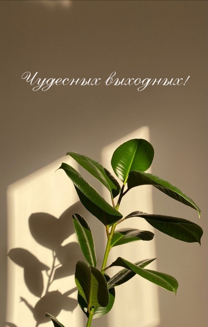 Чудесных выходных!