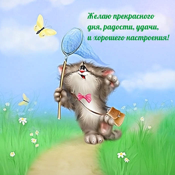 Желаю прекрасного дня, радости!