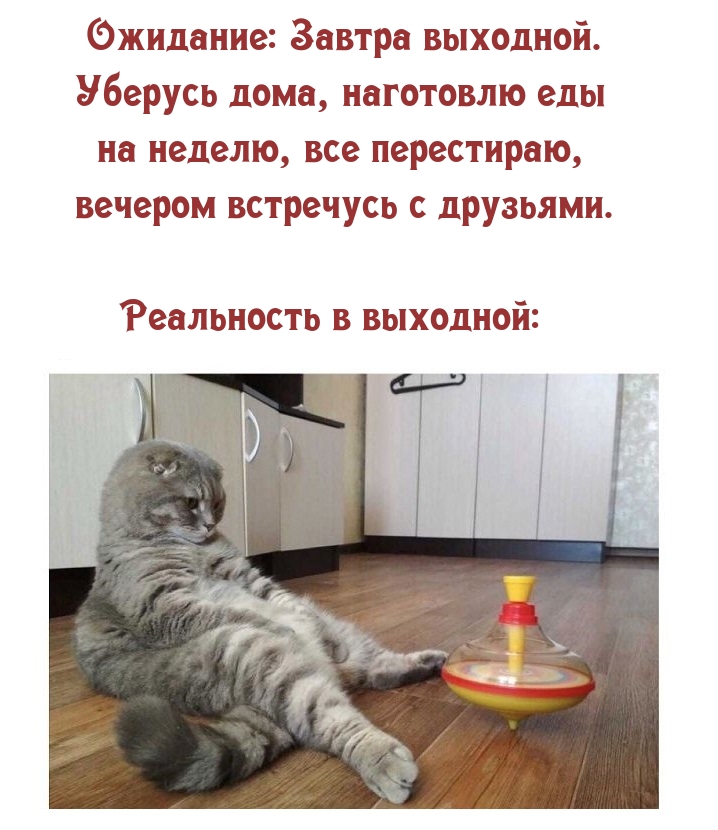 Ожидание: Завтра выходной.