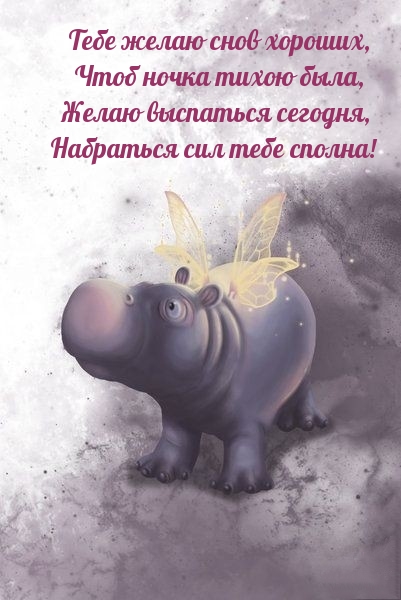 Тебе желаю снов хороших, чтоб ночка тихою была