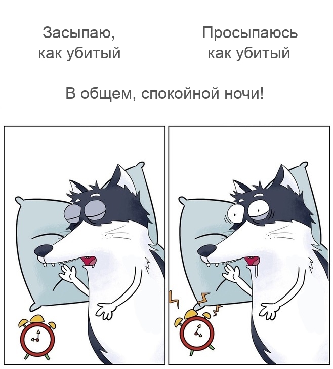 В общем, спокойной ночи!